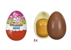 Kinder Überraschung Maxi Für Mädchen -Snack Geschäft 4502036592 4008400230825 05.jpg